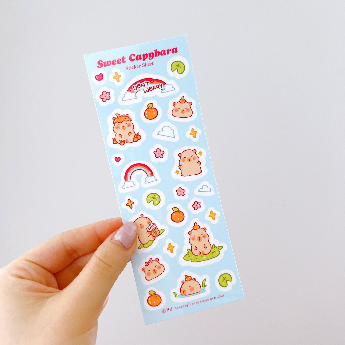Sweet Capybara Sticker Sheet